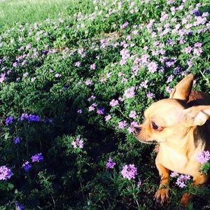 Meet your Posher, Kenia